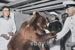 Bear in Navy service WW2 German ring WWII Kriegsmarine 1942 Germany Army Wehrmac