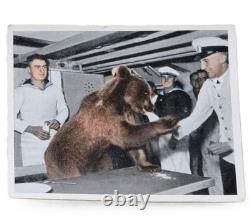 Bear in Navy service WW2 German ring WWII Kriegsmarine 1942 Germany Army Wehrmac