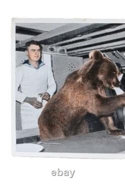 Bear in Navy service WW2 German ring WWII Kriegsmarine 1942 Germany Army Wehrmac