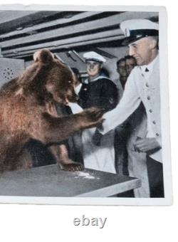 Bear in Navy service WW2 German ring WWII Kriegsmarine 1942 Germany Army Wehrmac