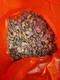 WW2 German KRIEGSMARINE SOLDIER BUTTONS Set Of 1600+ Pcs