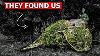 Why German Anti Tank Crews Couldn T Explain How U S Armor Always Found Their Guns