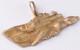 Ww 2 German Kriegsmarine E-boat Donauflottille S 89 Pendant Drgm Marked