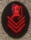 Wwii Ww2 Kriegsmarine Wehrmacht Military German Navy Deep Sea Diver Helmet Patch